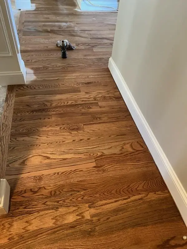 Red oak flooring part-way through refinishing, new finish meeting the older boards