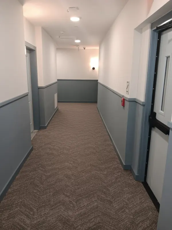 Finished corridor in white over a blue-gray wainscot with new carpet